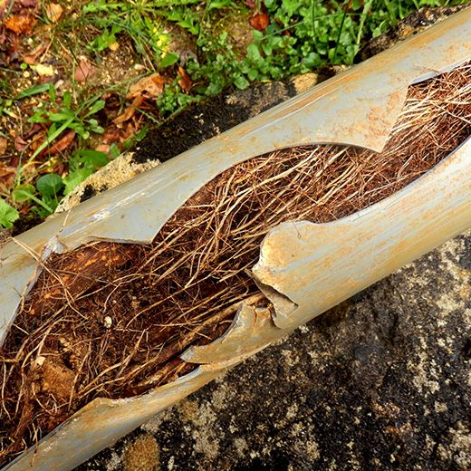 Same Day Drain Sewer & Rooter Pros Across Litchfield